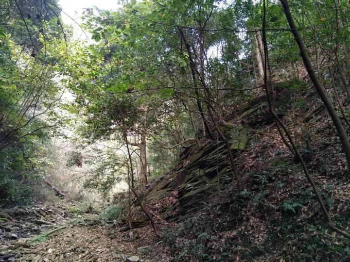 雷竞技比分