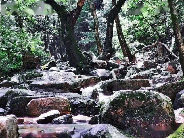 燃烧吧大脑免广告最新版