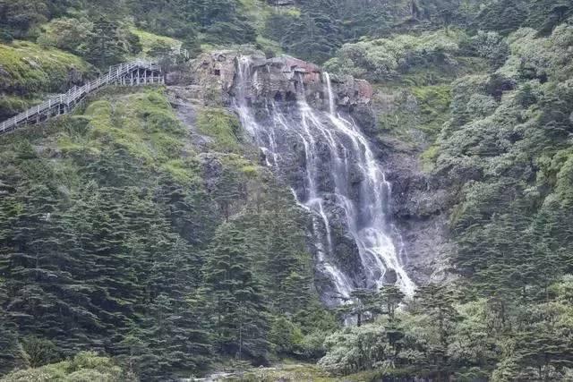 14年斯柯达昕锐散热风扇没有电