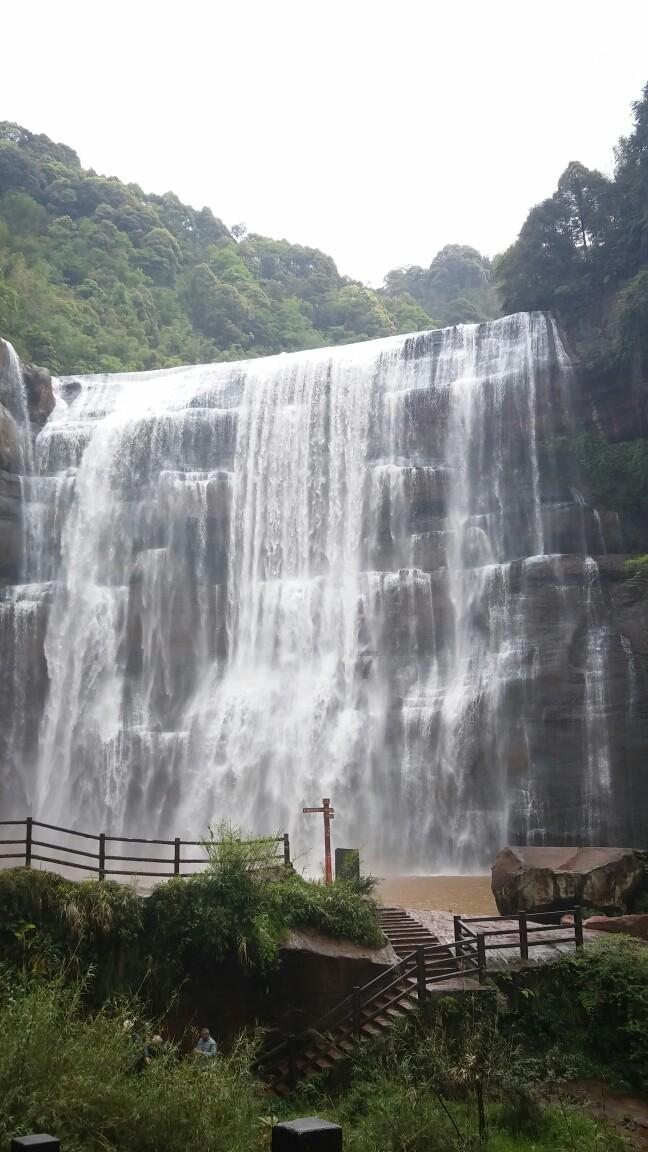 虫虫助手下载