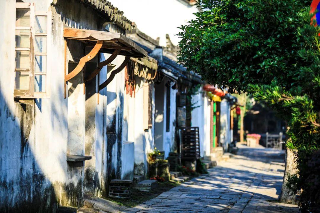 从百度问答到郑容和车太贤将携手出演新剧《头脑共助》,这部剧讲述什么样的故事?——国内领先有问必答平台